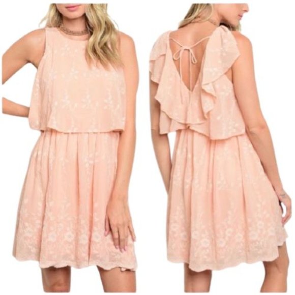 Love Riche Dresses & Skirts - Love Riche Embroidered Blush Pink Dress